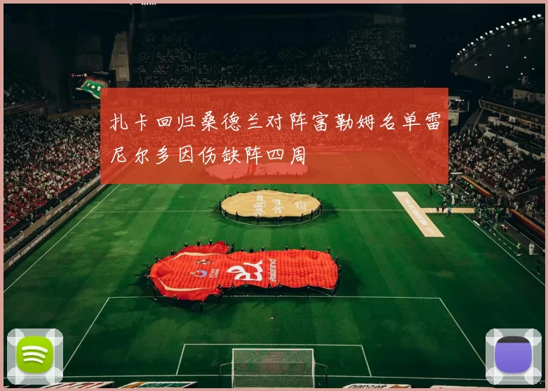 扎卡回归桑德兰对阵富勒姆名单雷尼尔多因伤缺阵四周