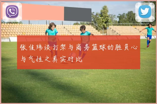 张佳玮谈打架与商务篮球的胜负心与气性之真实对比