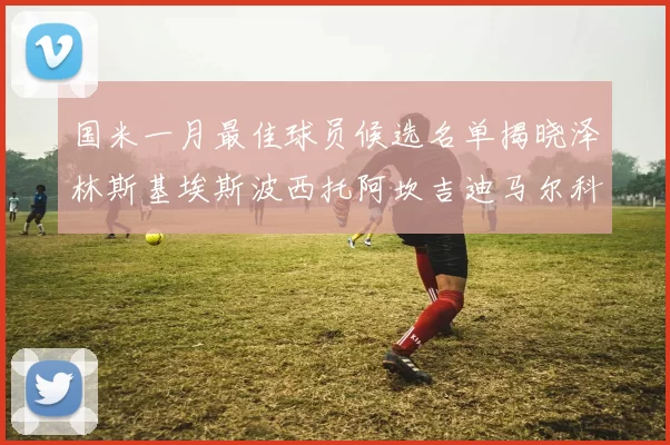国米一月最佳球员候选名单揭晓泽林斯基埃斯波西托阿坎吉迪马尔科争夺荣誉